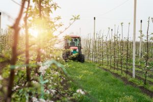 Tout savoir sur l’enjambeur bobard : usages, atouts et infos pratiques en viticulture