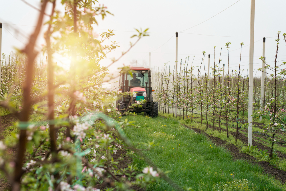 Tout savoir sur l’enjambeur bobard : usages, atouts et infos pratiques en viticulture